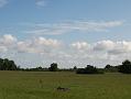 Randers 2008 005